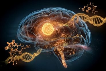 This shows a brain and DNA.