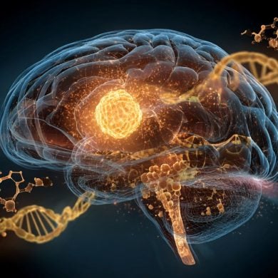 This shows a brain and DNA.
