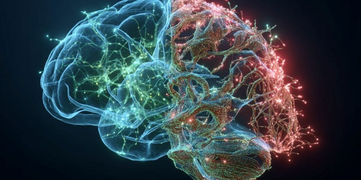 This shows a brain and DNA.