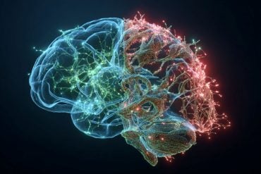 This shows a brain and DNA.