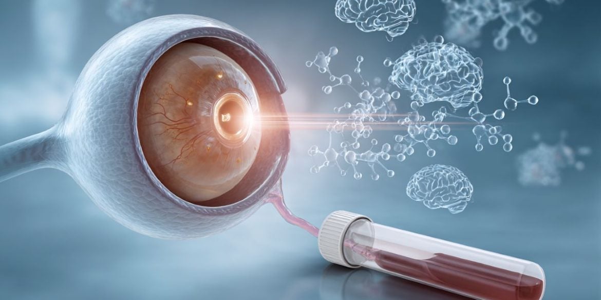 This shows an eye and brains.