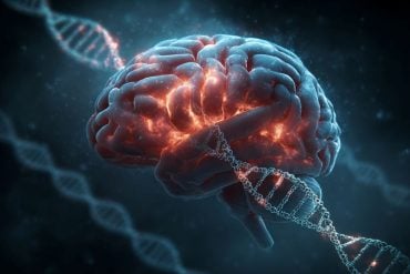 This shows a brain and DNA.