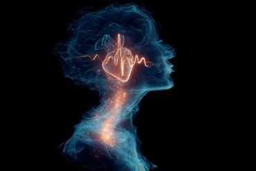 This shows the outline of a woman, a heart and a brain.