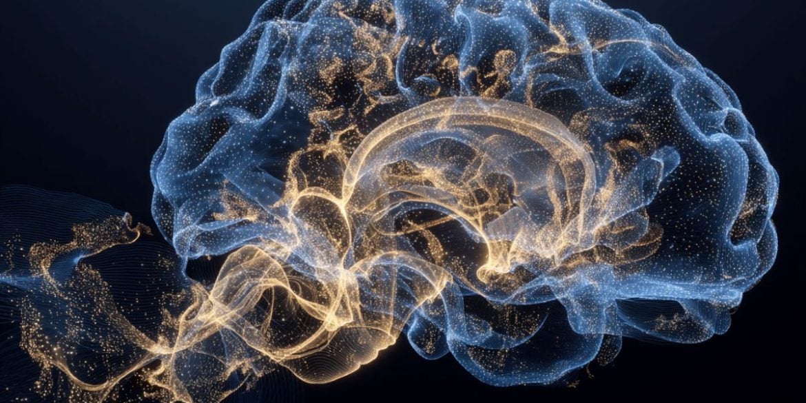 This shows a brain.