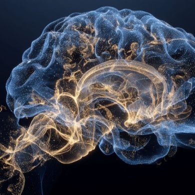 This shows a brain.