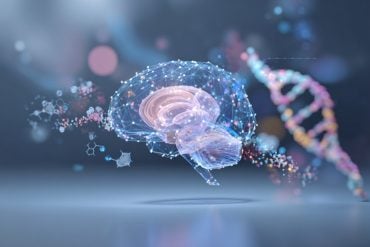 This shows a brain and DNA.