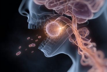 This shows a mouth and brain.