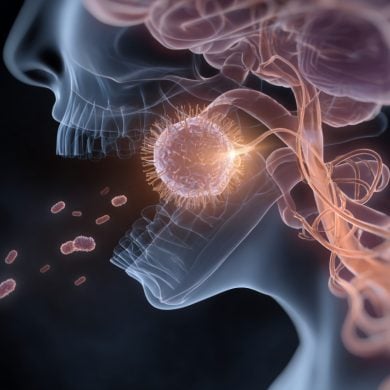 This shows a mouth and brain.