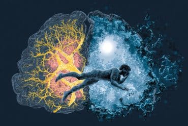 This shows a brain and a person sleeping.