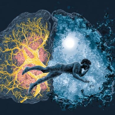 This shows a brain and a person sleeping.