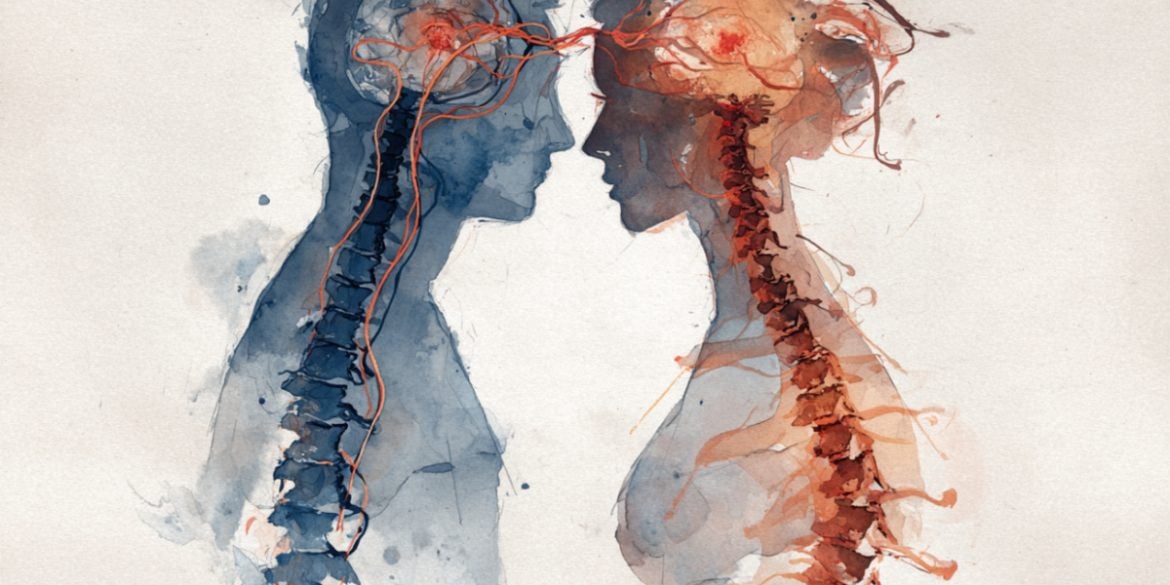 This shows a couple, their brains and spines.
