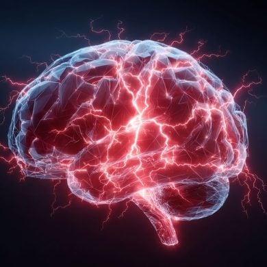 This shows a brain.