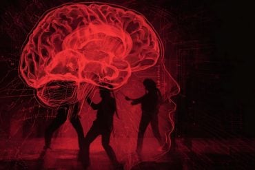 This shows the outline of a head and brain. Behind are two people fighting.