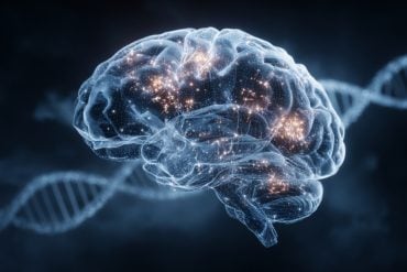 This shows a brain and DNA.