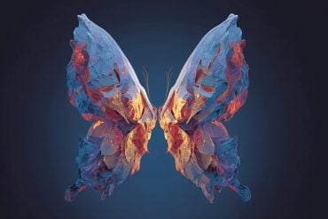 This shows an AI generated butterfly.