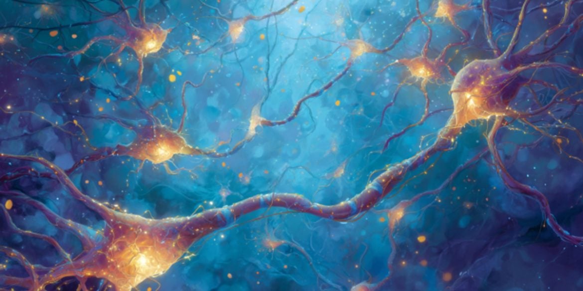 This shows astrocytes.