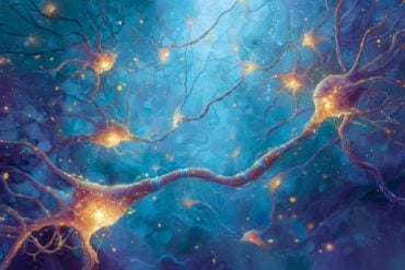 This shows astrocytes.