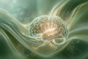 This shows a brain.
