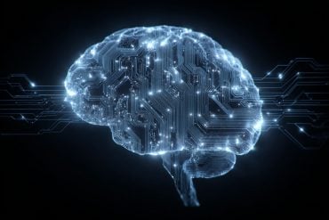 This shows a computerized brain.