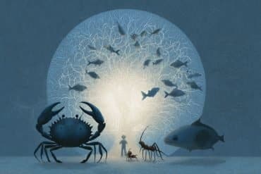 This shows a brain and animals.