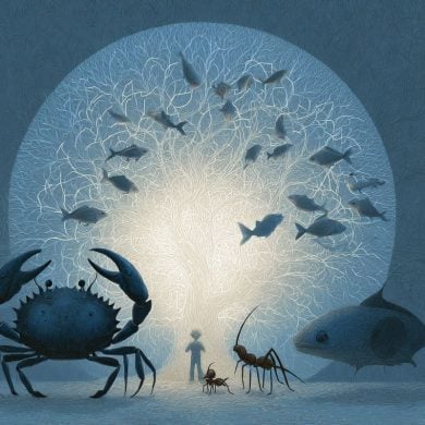 This shows a brain and animals.