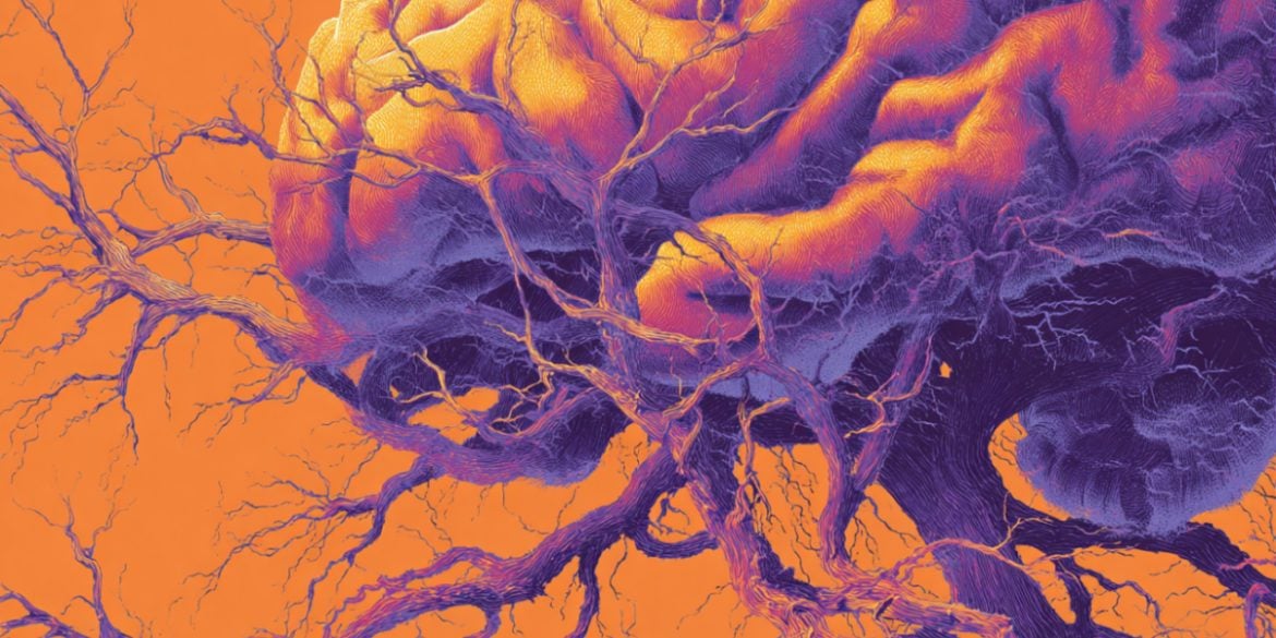 This shows a brain.