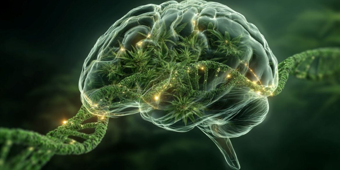 This shows a brain, DNA, and leaves.