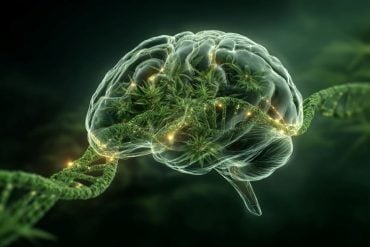 This shows a brain, DNA, and leaves.