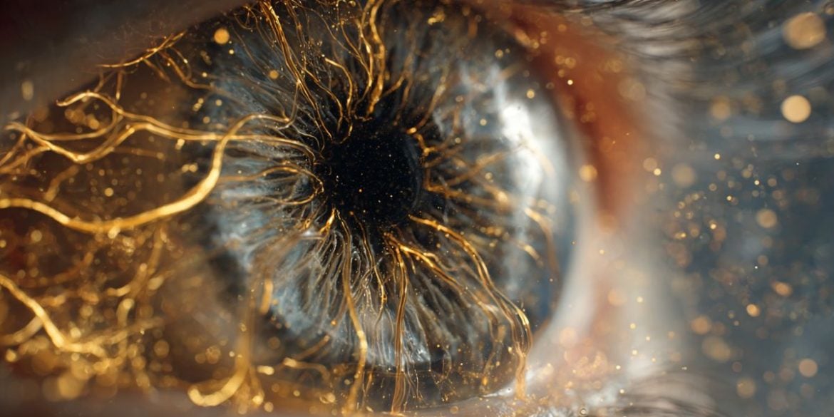 This shows an eye.