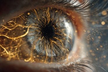 This shows an eye.