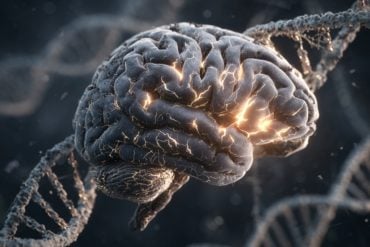This shows a brain and DNA.