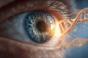 This shows an eye and DNA.