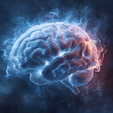 This shows a brain.