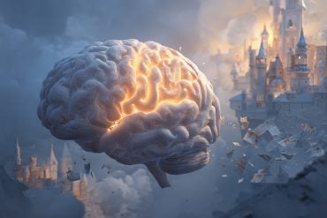 This shows a brain and a castle in the clouds.
