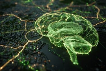 This shows a brain and a map.