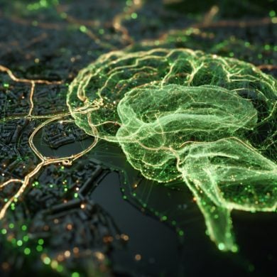This shows a brain and a map.