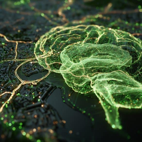 This shows a brain and a map.