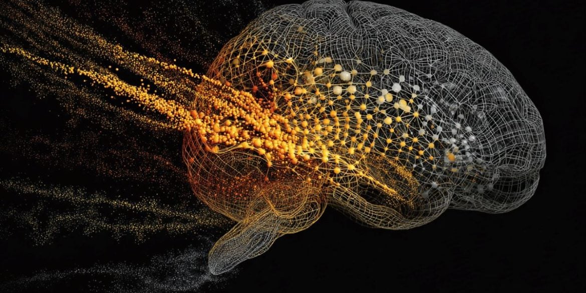 This shows a brain.