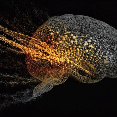 This shows a brain.