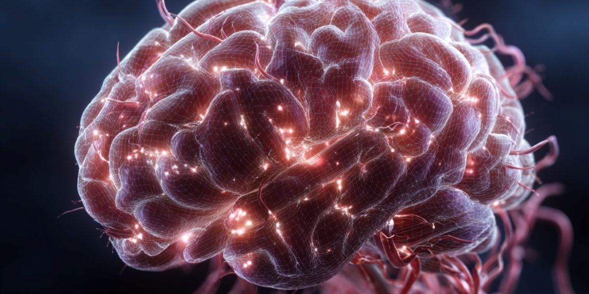 This shows a brain.