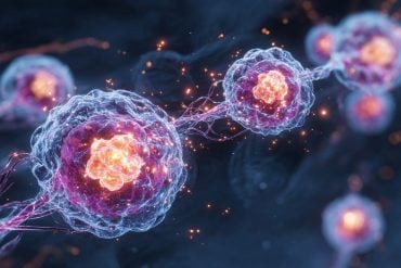 This shows cells.