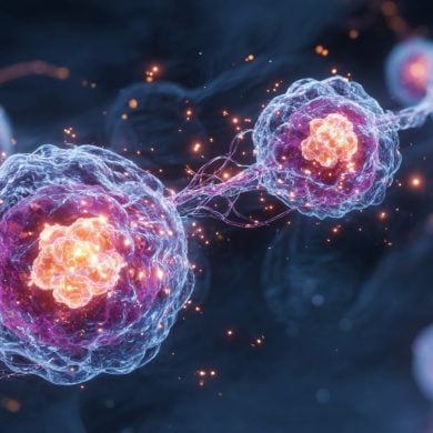 This shows cells.
