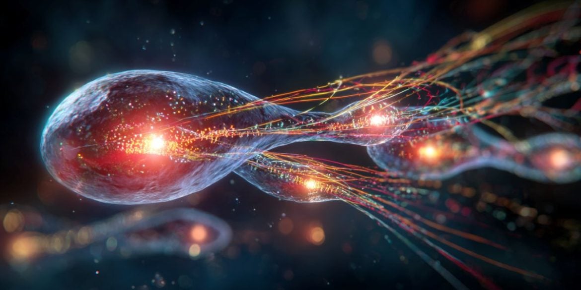 This shows a sperm cell and DNA.
