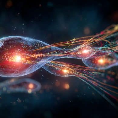 This shows a sperm cell and DNA.