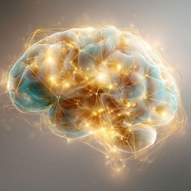 This shows a brain.