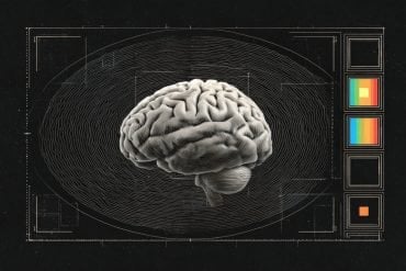 This shows a brain surrounded by waves.