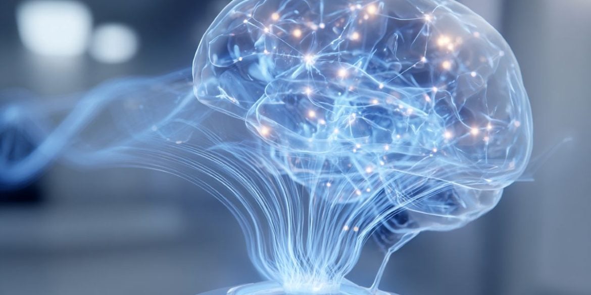 This shows a holographic brain.