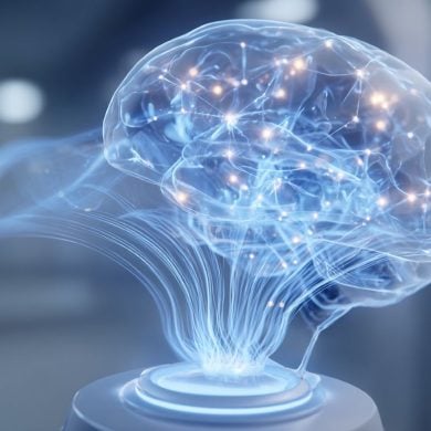 This shows a holographic brain.