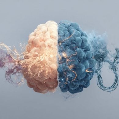 This shows a brain.