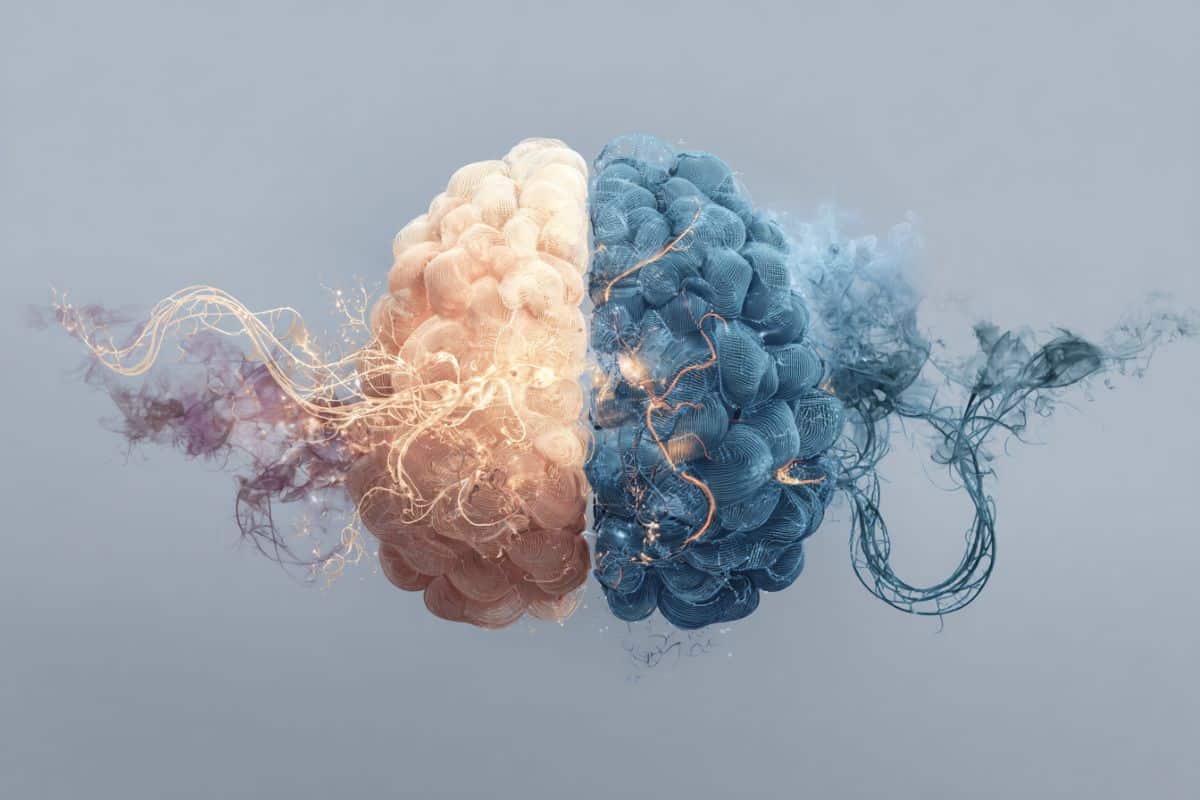 This shows a brain.